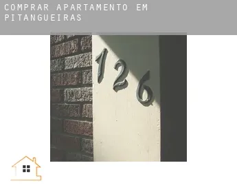 Comprar apartamento em  Pitangueiras