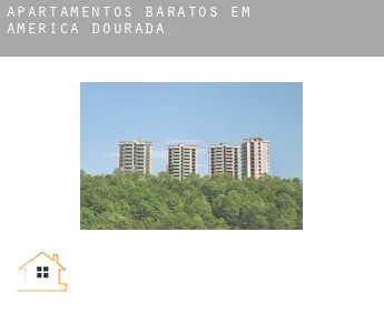 Apartamentos baratos em  América Dourada