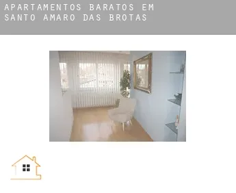 Apartamentos baratos em Santo Amaro das Brotas
