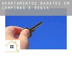 Apartamentos baratos em  Campinas e Região