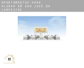 Apartamentos para alugar em  São José do Campestre