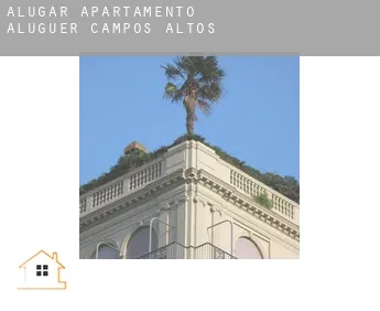 Alugar apartamento aluguer  Campos Altos