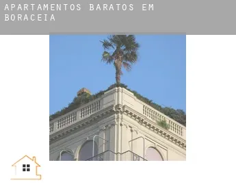 Apartamentos baratos em  Boracéia