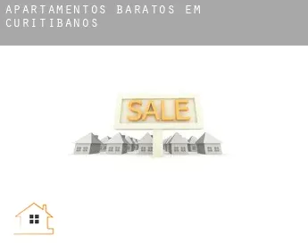 Apartamentos baratos em  Curitibanos