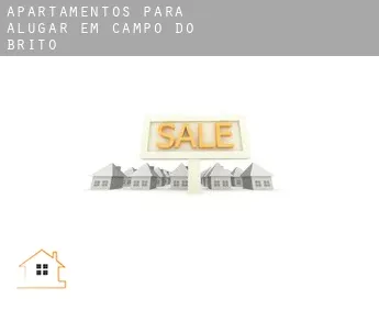 Apartamentos para alugar em  Campo do Brito