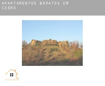 Apartamentos baratos em  Cedro