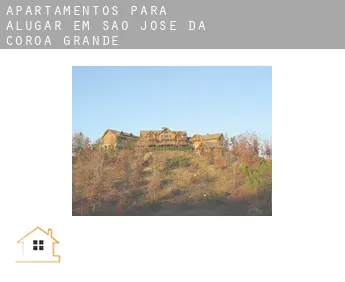 Apartamentos para alugar em  São José da Coroa Grande