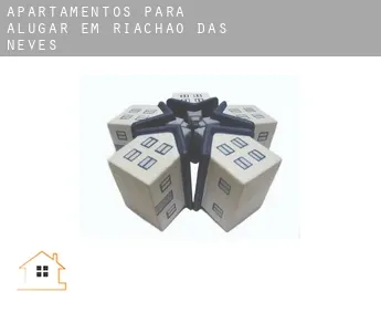 Apartamentos para alugar em  Riachão das Neves