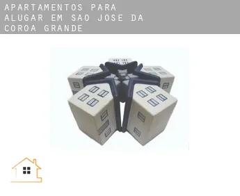 Apartamentos para alugar em  São José da Coroa Grande