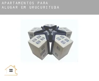 Apartamentos para alugar em  Urucurituba