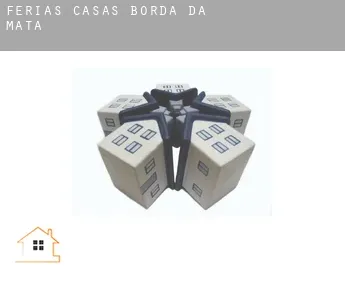 Férias casas  Borda da Mata