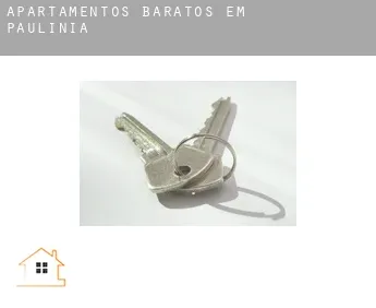 Apartamentos baratos em  Paulínia