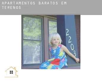 Apartamentos baratos em  Terenos