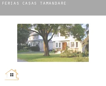 Férias casas  Tamandaré