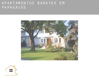 Apartamentos baratos em Papagaios