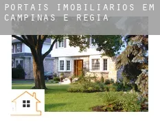 Portais imobiliários em Campinas e Região