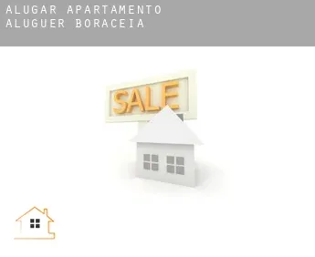 Alugar apartamento aluguer  Boracéia