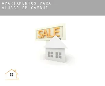 Apartamentos para alugar em  Cambuí