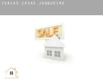 Férias casas  Junqueiro