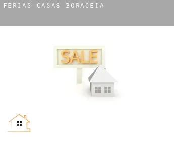 Férias casas  Boracéia