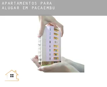 Apartamentos para alugar em  Pacaembu