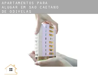 Apartamentos para alugar em  São Caetano de Odivelas