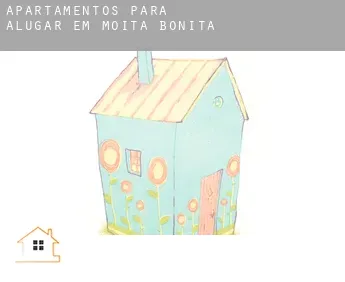 Apartamentos para alugar em  Moita Bonita