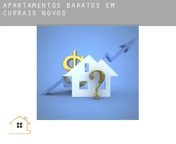 Apartamentos baratos em  Currais Novos