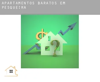Apartamentos baratos em  Pesqueira
