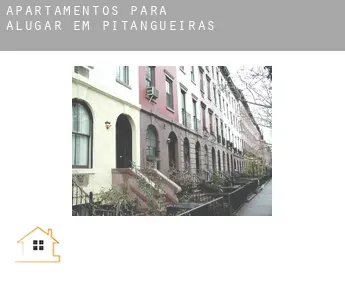 Apartamentos para alugar em  Pitangueiras