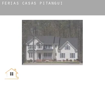Férias casas  Pitangui