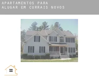 Apartamentos para alugar em  Currais Novos