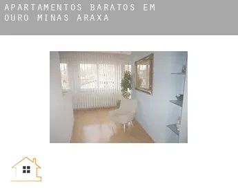 Apartamentos baratos em  Ouro Minas Araxá